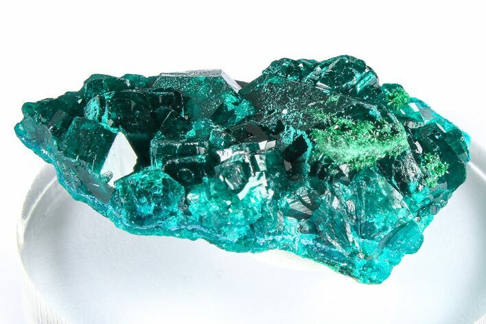 Emerald-Green Dioptase Crystal Cluster w/ Malachite - DR Congo #379426